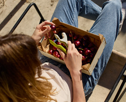 2-in-1 Pitter & Huller Tool